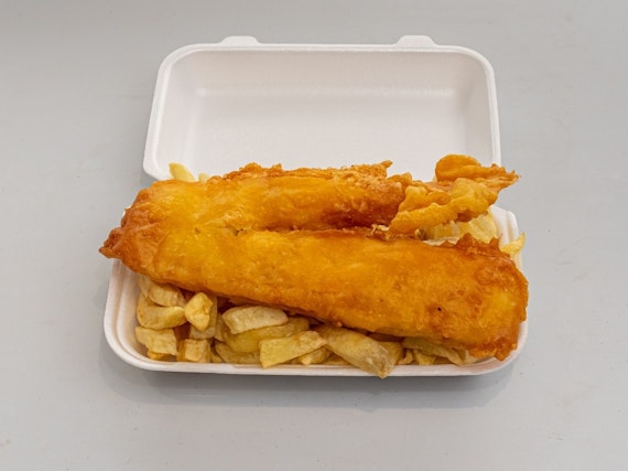 main highlight image