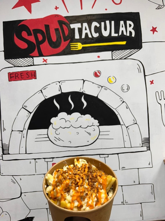 main highlight image