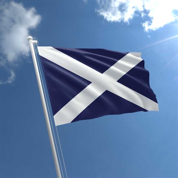 main highlight image