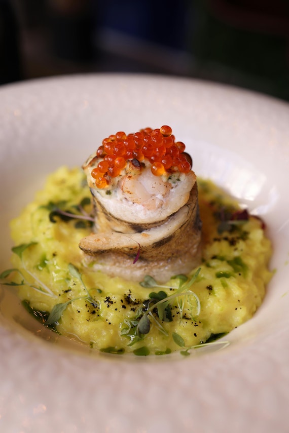 main highlight image