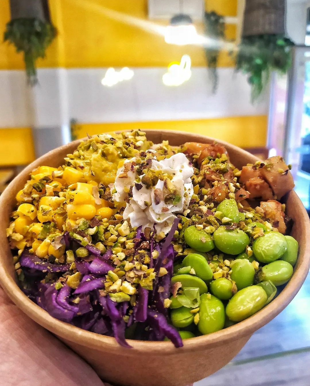 POKE, alternativa fresh per il pranzo. Riso giapponese, edamame, salmone , cavolo rosso, philadelphia, alga wakame e salsa teryaki