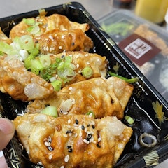 Gyoza Dumplings