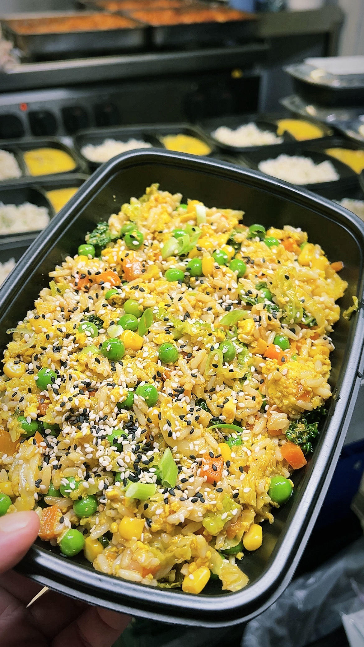 best fried rice in dublin