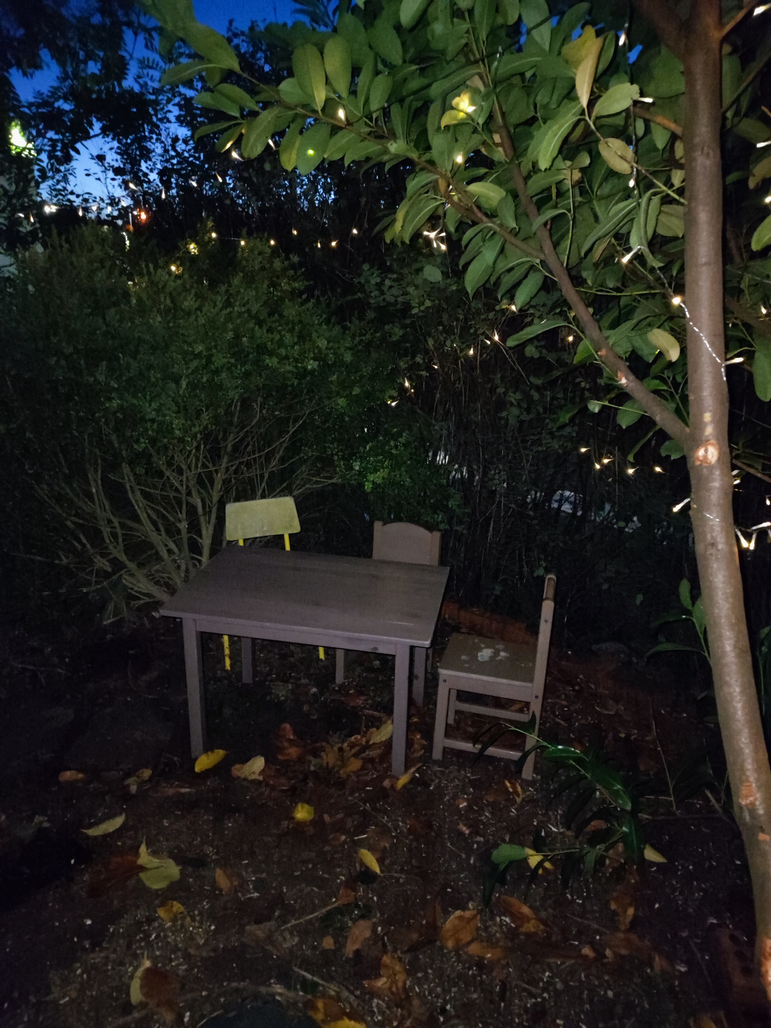 Fairy garden at night